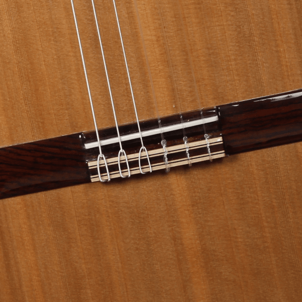 Alhambra Iberia Ziricote Konzertgitarre 4/4 mit Tasche - Musik-Ebert Gmbh