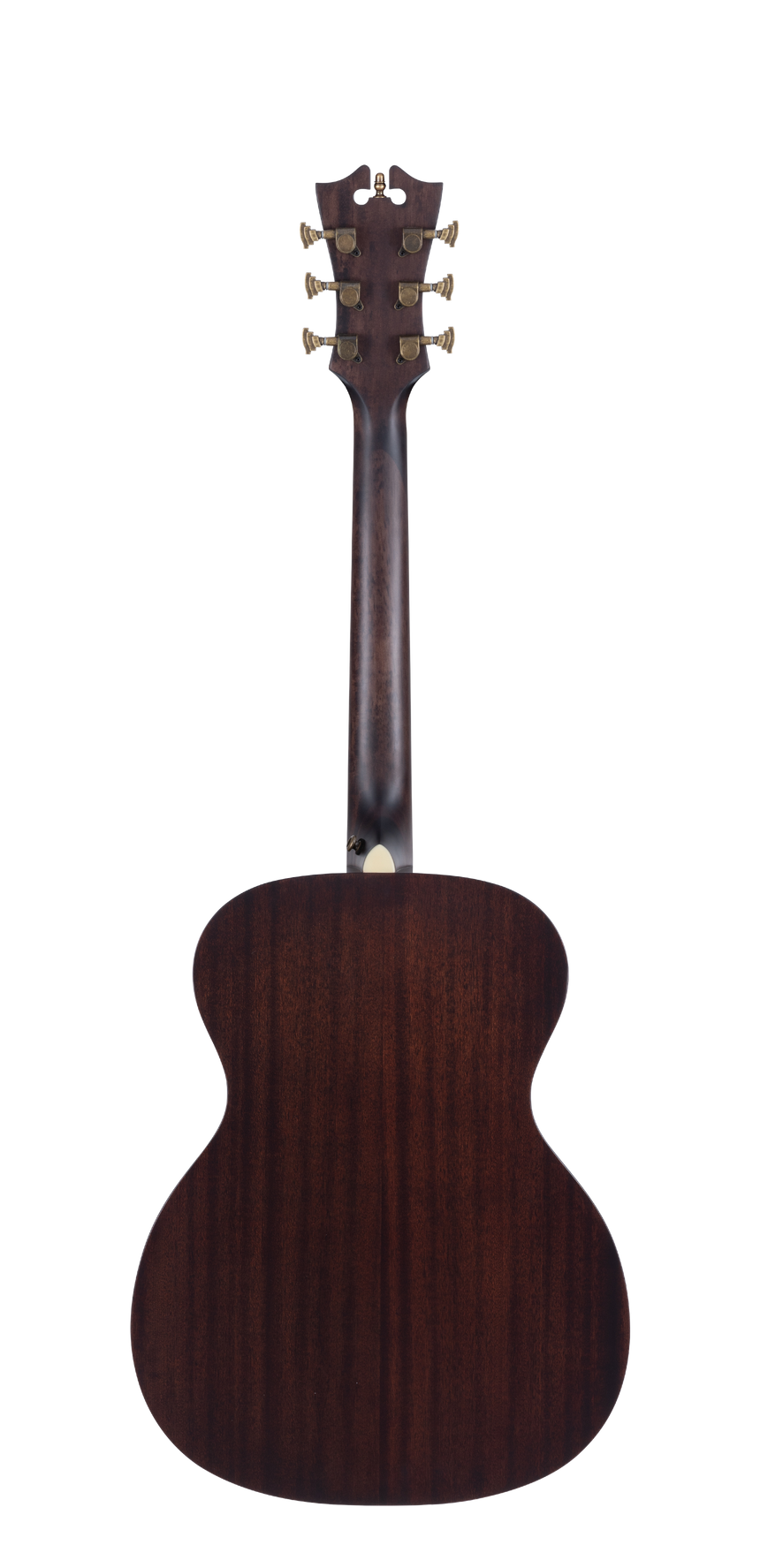 D'ANGELICO Premier Tammany Natural Westerngitarre - Musik-Ebert Gmbh