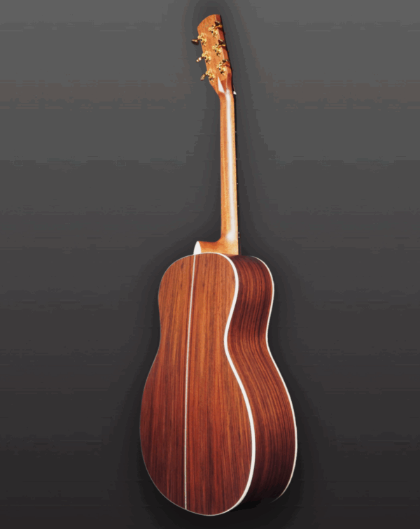 You's Guitar GA25E Pa Story Series