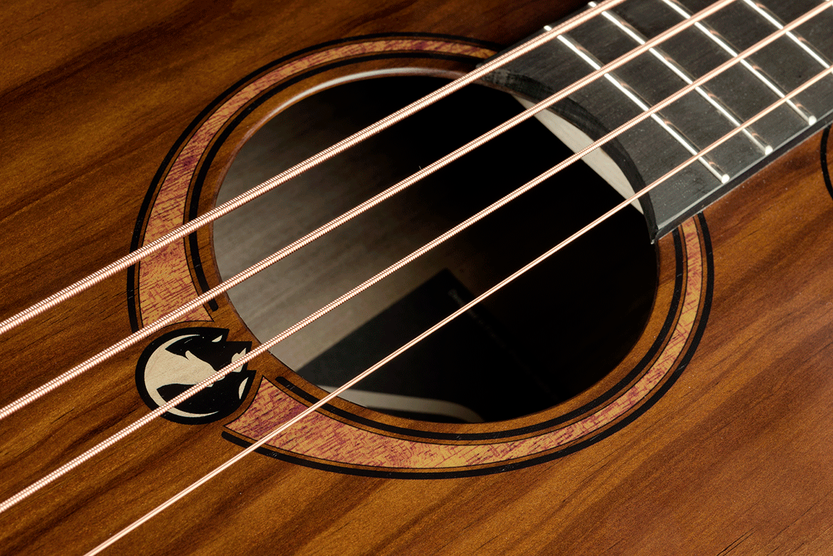 LÂG - GLA SAUVAGE-BCE Acoustic-Electric Bass Jumbo Cutaway w/ Gig Bag - Musik-Ebert Gmbh
