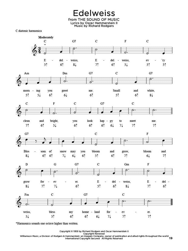 First 50 Songs You Should Play on harmonica - Musik-Ebert Gmbh