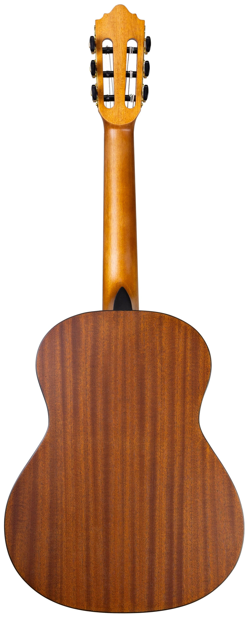 Contigo C-23 1/2, Naturholz, matt – Rückansicht