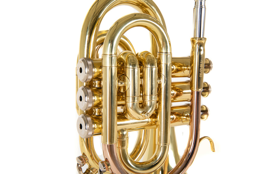 Roy Benson PT-101, laiton verni transparent – détail des coudes de tube