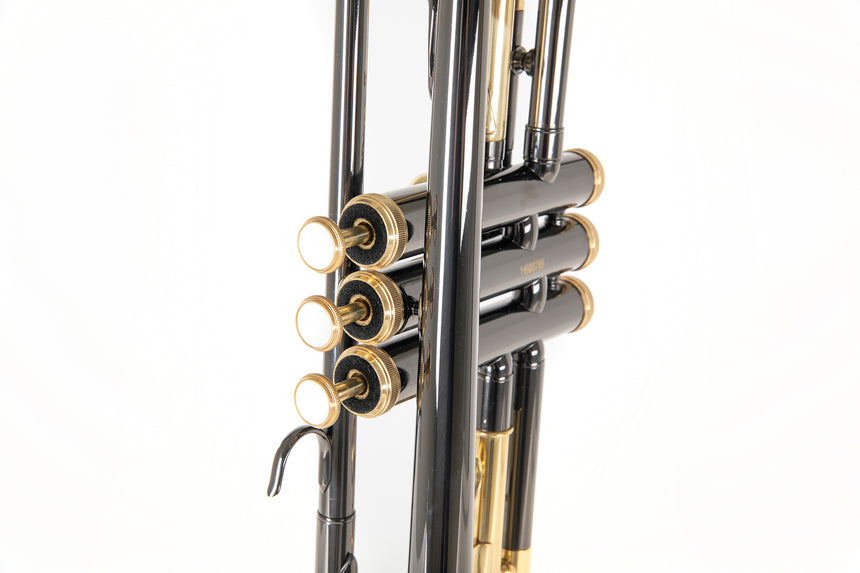 Roy Benson TR-101K, anthracite – gros plan des pistons