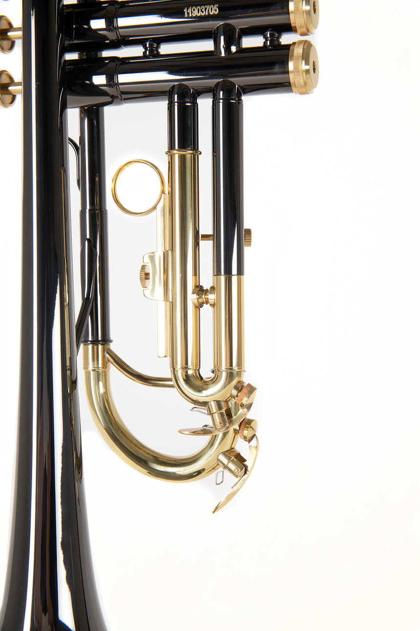 Roy Benson TR-101K, anthracite – gros plan des coulisses