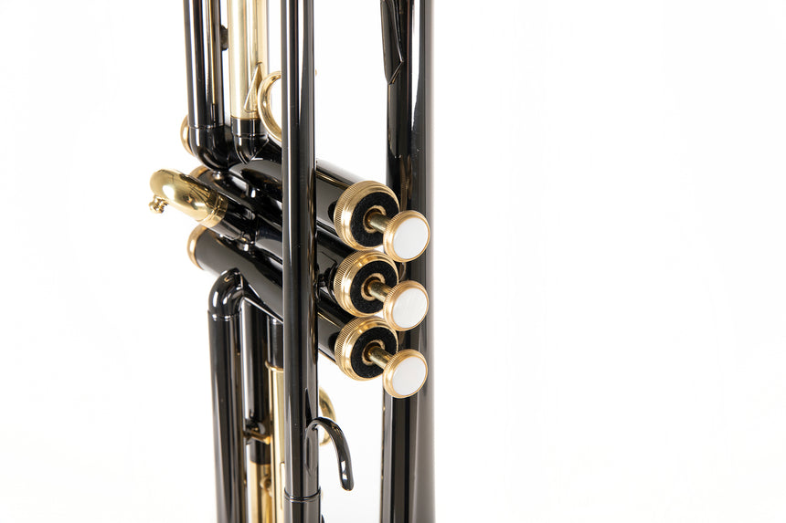 Roy Benson TR-101K, anthracite – gros plan des pistons
