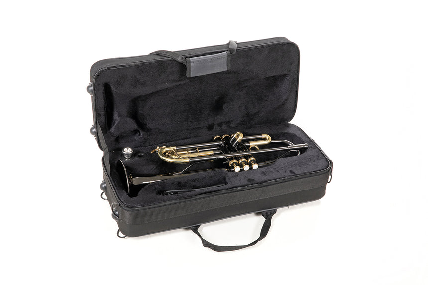 Roy Benson TR-101K, anthracite – instrument dans son étui ouvert