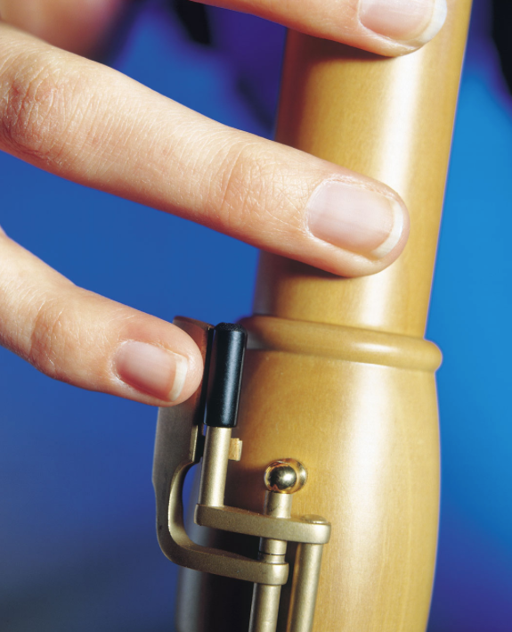 Mollenhauer 2446 Canta Birnbaum Tenorblockflöte - Musik-Ebert Gmbh