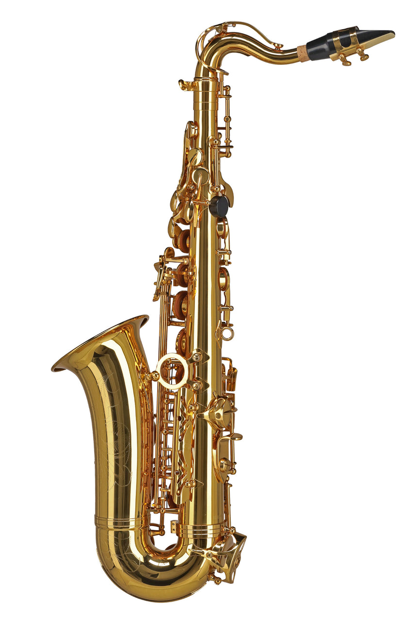 GEWA Germany Eb-Alt Kindersaxophon AS655 Ambition