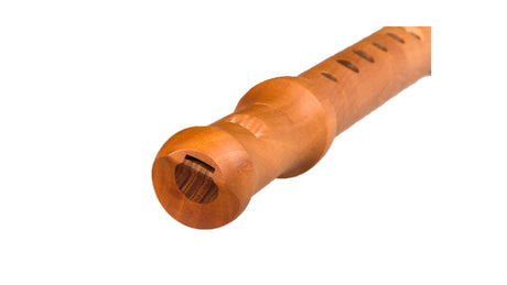 Mollenhauer 19142 Soprano Recorder Waldorf Edition