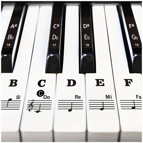 Ebert Basic Piano Tastaturaufkleber für Anfänger - Musik-Ebert Gmbh