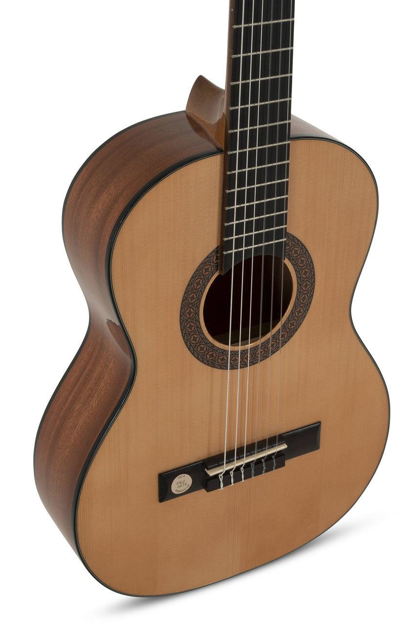 GEWA Klassikgitarre Pro Arte GC 100A B-Ware - Musik-Ebert Gmbh