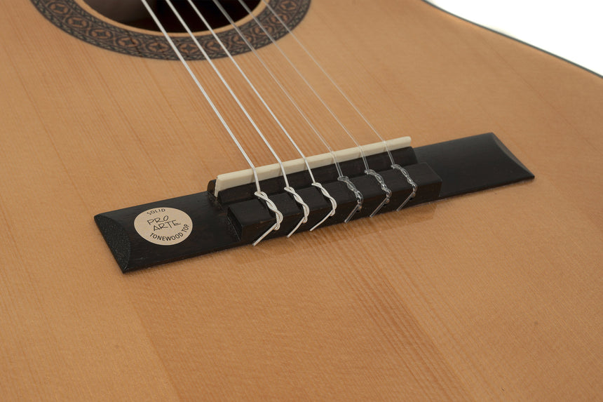 GEWA Klassikgitarre Pro Arte GC 75A B-Ware - Musik-Ebert Gmbh