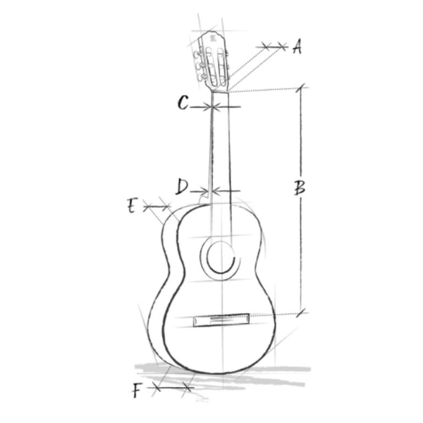 Alhambra Iberia Ziricote Konzertgitarre 4/4 mit Tasche - Musik-Ebert Gmbh