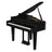 Roland GP-6 Digital Piano Schwarz Hochglanz - Musik-Ebert Gmbh