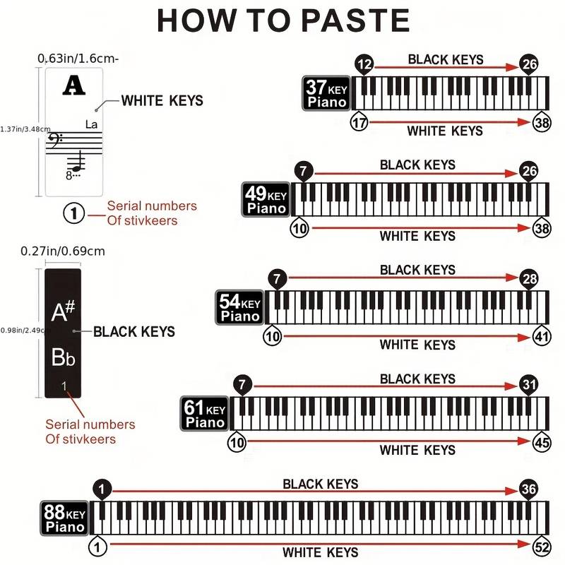 Ebert Basic Piano Tastaturaufkleber für Anfänger - Musik-Ebert Gmbh