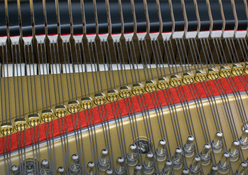 Guidage des cordes et agrafes du Kawai GL-50, seconde vue technique