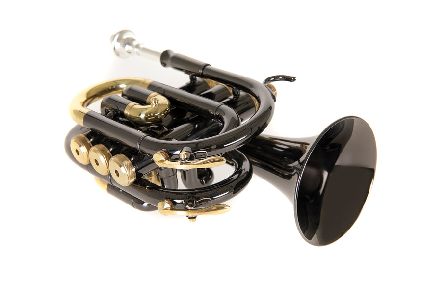 Roy Benson PT-101K, anthracite – bell view