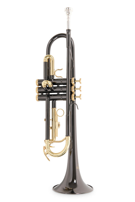 Roy Benson TR-101K, anthracite – vue avant en position verticale