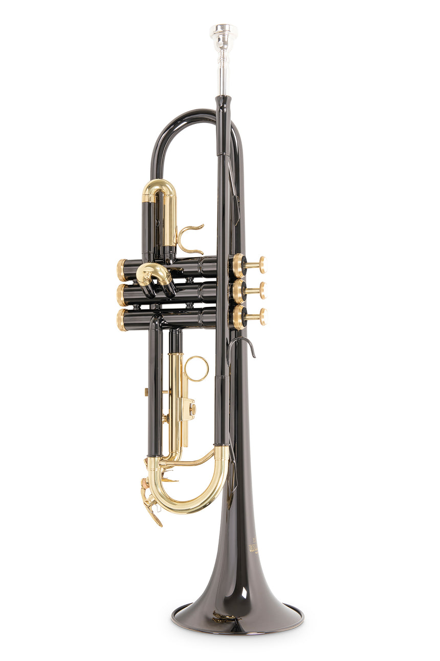 Roy Benson TR-101K, anthracite – vue avant en position verticale