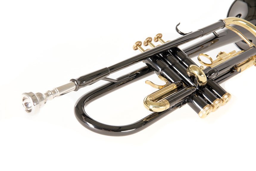 Roy Benson TR-101K, anthracite – détail de la branche d’embouchure