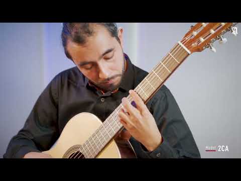 Guitare classique Alhambra 2C 4/4 avec étui