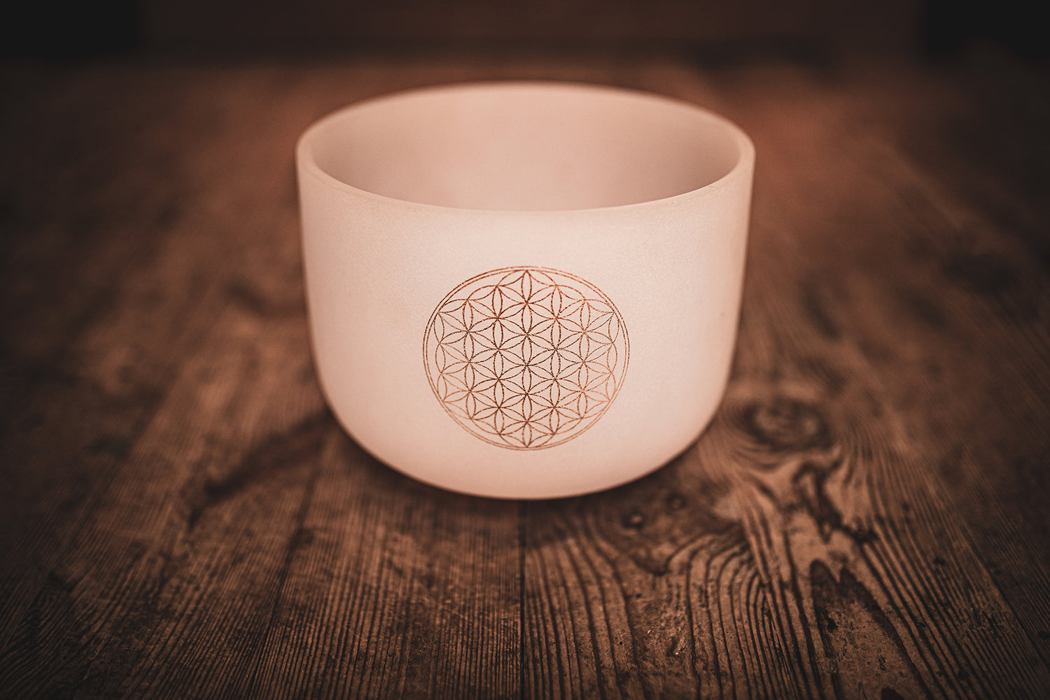 MEINL Sonic Energy Kristallklangschale 8" / C# 432 Hz / Blume des Lebens - Musik-Ebert Gmbh