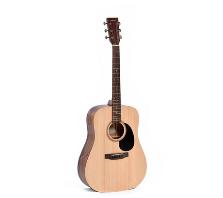 Ditson D-10 Westerngitarre - Musik-Ebert Gmbh