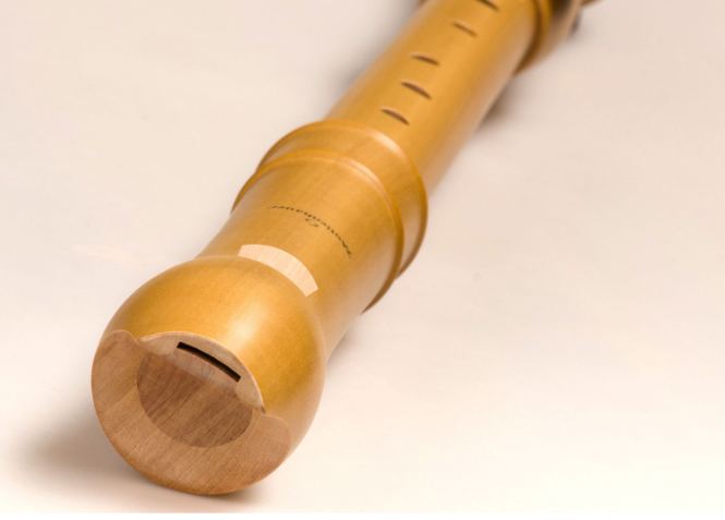 Mollenhauer 2446 Canta Birnbaum Tenorblockflöte - Musik-Ebert Gmbh