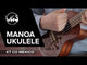 VGS KT-CO-Mexico Manoa Concert Konzert-Ukulele