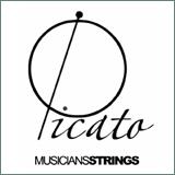 Picato Einzelsaite Bronze für Westerngitarre verschiedene Stärken - Musik-Ebert Gmbh